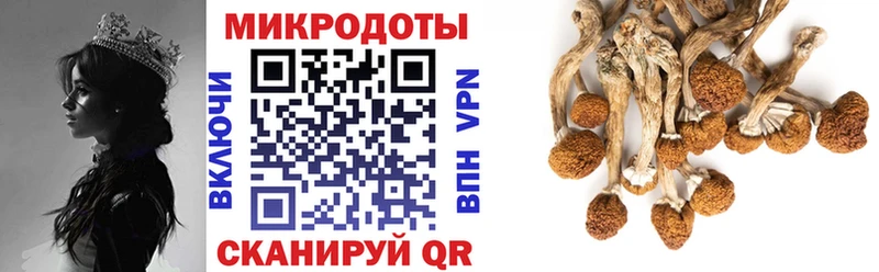 как найти наркотики Янаул Псилоцибиновые грибы Psilocybe